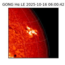 gong - 2025-10-16T06:00:42