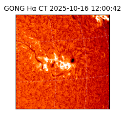 gong - 2025-10-16T12:00:42