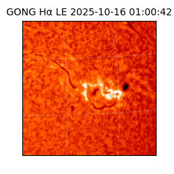 gong - 2025-10-16T01:00:42