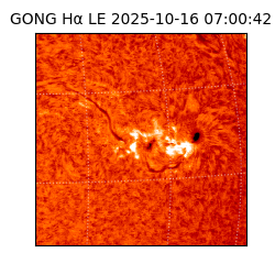 gong - 2025-10-16T07:00:42