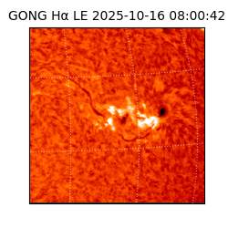 gong - 2025-10-16T08:00:42