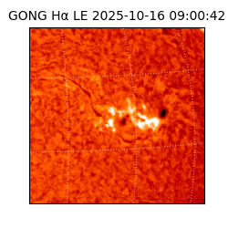 gong - 2025-10-16T09:00:42