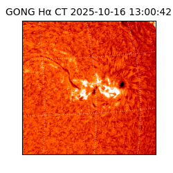 gong - 2025-10-16T13:00:42