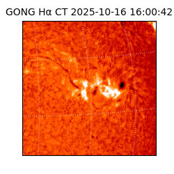 gong - 2025-10-16T16:00:42