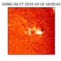 gong - 2025-10-16T18:00:42