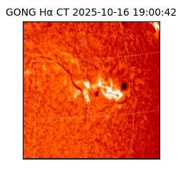 gong - 2025-10-16T19:00:42