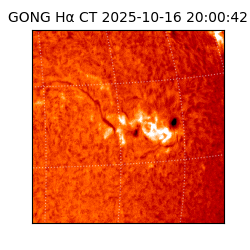 gong - 2025-10-16T20:00:42
