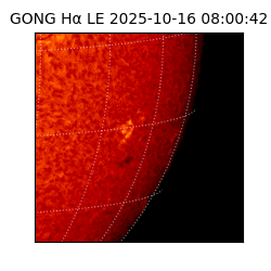 gong - 2025-10-16T08:00:42