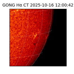 gong - 2025-10-16T12:00:42