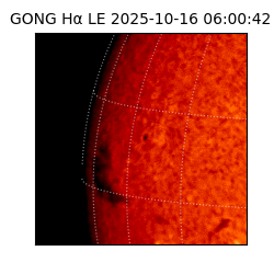 gong - 2025-10-16T06:00:42
