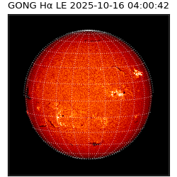 gong - 2025-10-16T04:00:42
