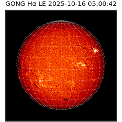 gong - 2025-10-16T05:00:42