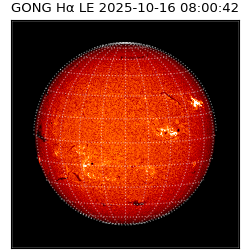 gong - 2025-10-16T08:00:42