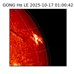 gong - 2025-10-17T01:00:42
