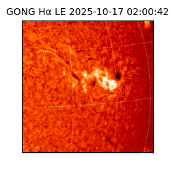 gong - 2025-10-17T02:00:42