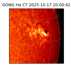 gong - 2025-10-17T20:00:42