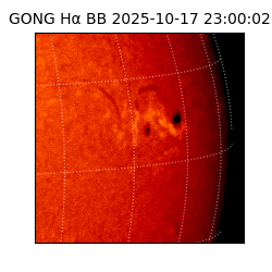gong - 2025-10-17T23:00:02