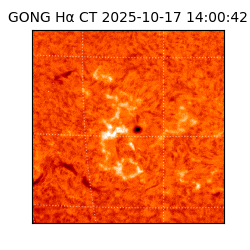 gong - 2025-10-17T14:00:42