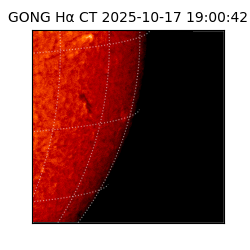 gong - 2025-10-17T19:00:42