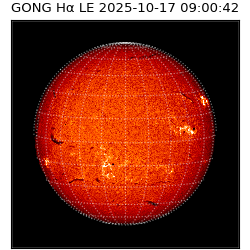 gong - 2025-10-17T09:00:42