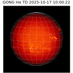 gong - 2025-10-17T10:00:22