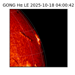 gong - 2025-10-18T04:00:42