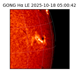 gong - 2025-10-18T05:00:42