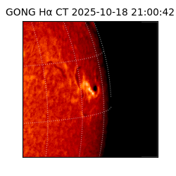 gong - 2025-10-18T21:00:42