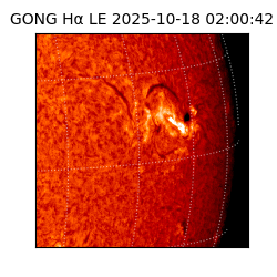 gong - 2025-10-18T02:00:42