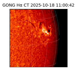 gong - 2025-10-18T11:00:42