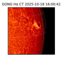 gong - 2025-10-18T16:00:42