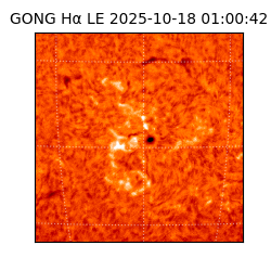 gong - 2025-10-18T01:00:42