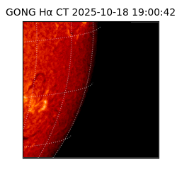 gong - 2025-10-18T19:00:42