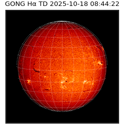 gong - 2025-10-18T08:44:22