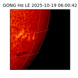 gong - 2025-10-19T06:00:42