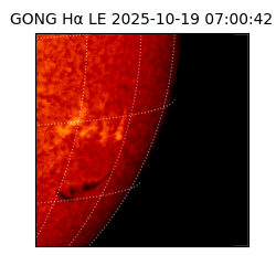 gong - 2025-10-19T07:00:42