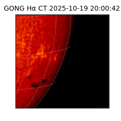 gong - 2025-10-19T20:00:42