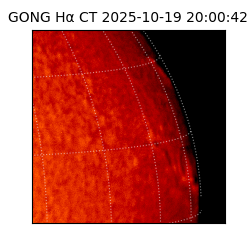 gong - 2025-10-19T20:00:42