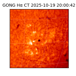 gong - 2025-10-19T20:00:42