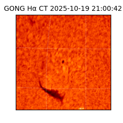 gong - 2025-10-19T21:00:42