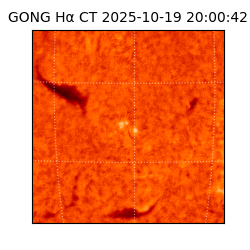 gong - 2025-10-19T20:00:42