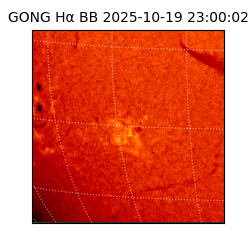 gong - 2025-10-19T23:00:02