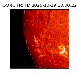 gong - 2025-10-19T10:00:22