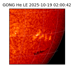 gong - 2025-10-19T02:00:42