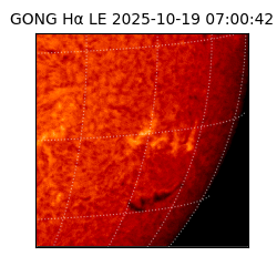 gong - 2025-10-19T07:00:42