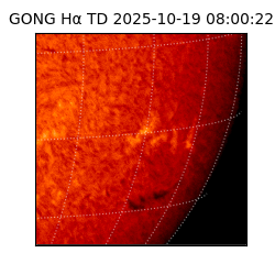 gong - 2025-10-19T08:00:22