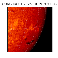 gong - 2025-10-19T20:00:42