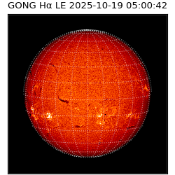 gong - 2025-10-19T05:00:42