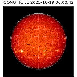 gong - 2025-10-19T06:00:42