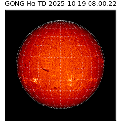 gong - 2025-10-19T08:00:22